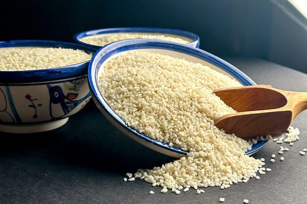 مادرجنده میخوای کیر کنم تو سایتت؟