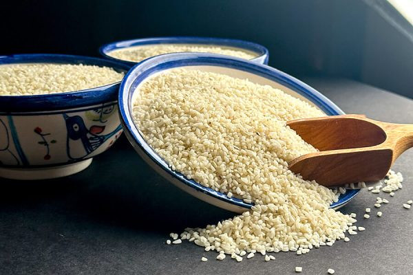 مادرجنده میخوای کیر کنم تو سایتت؟